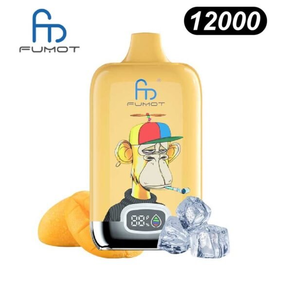 Svapata usa e getta digitale Fumot Randm 12000