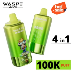 WASPE 100000 Bouffées 4 Saveurs Vape Sans Nicotine