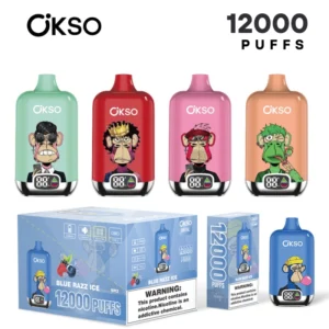 OKSO 12000 Puffs RandM Puff 12K