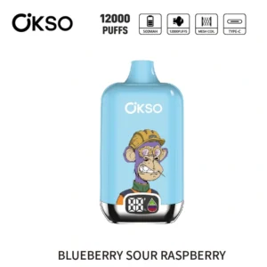 OKSO Fumot 12k Digital Box 12000 Puff