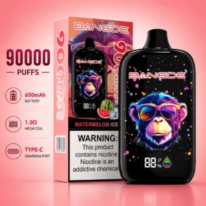 Bang DE 90000 Disposable Vape 90k Puff
