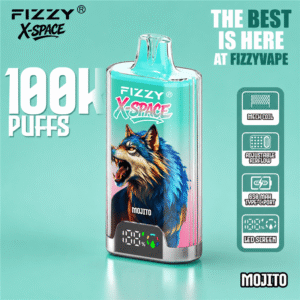 Fizzy 100K Puff Disposable Vapes Wholesale