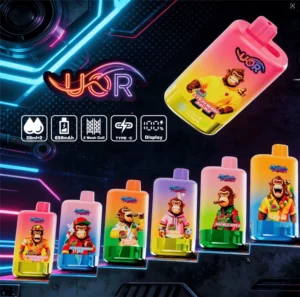 UOR Twins 80K 2-in-1 Double Flavor China Supplier